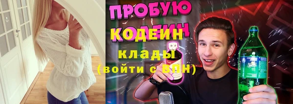 шишки Новокубанск