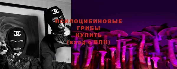 шишки Новокубанск